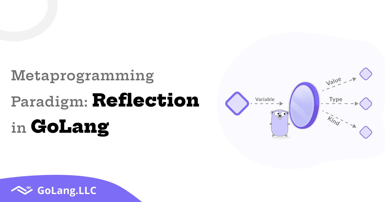 Metaprogramming Paradigm: Reflection in Golang